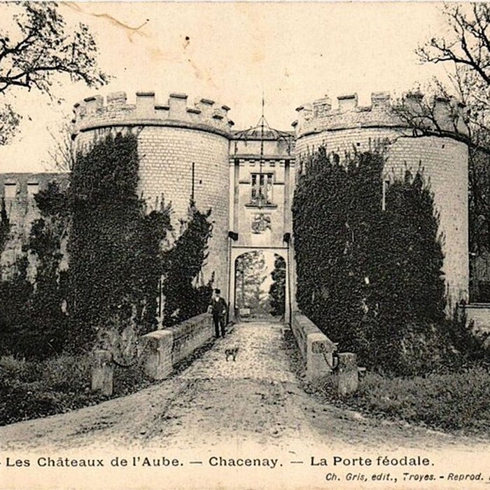Photo de Château de Chacenay