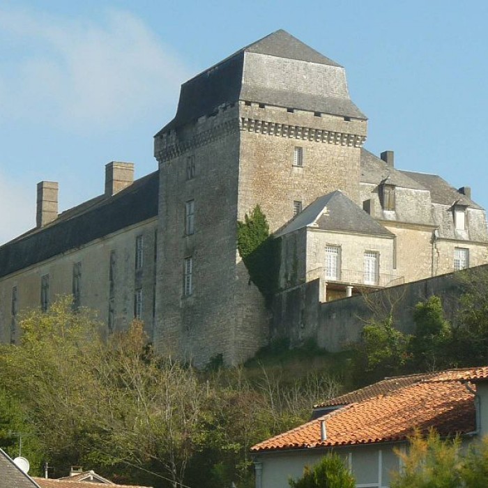 Photo de Château de Chalais