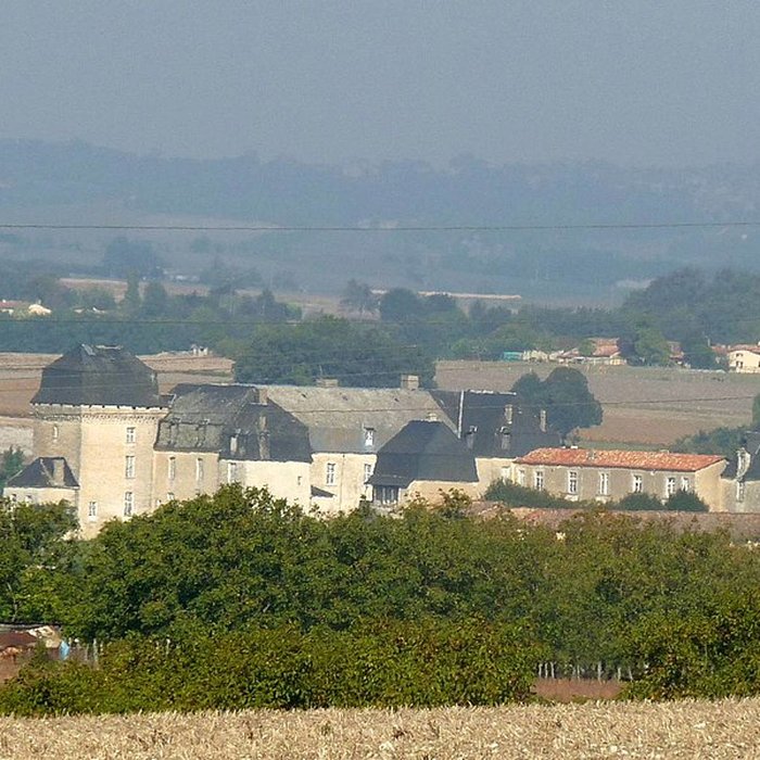 Photo de Château de Chalais