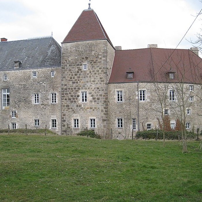 Photo de Château de Chalancey
