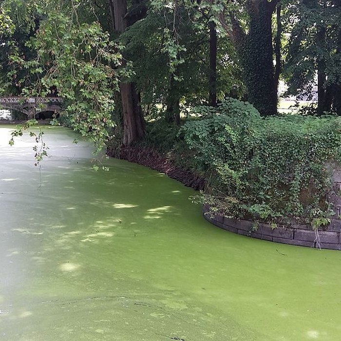 Photo de Château de Challain-la-Potherie