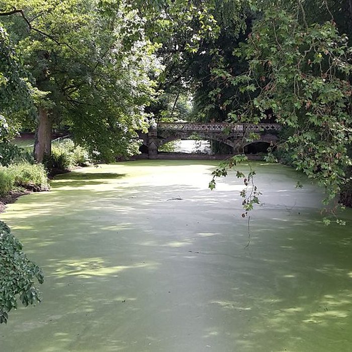 Photo de Château de Challain-la-Potherie