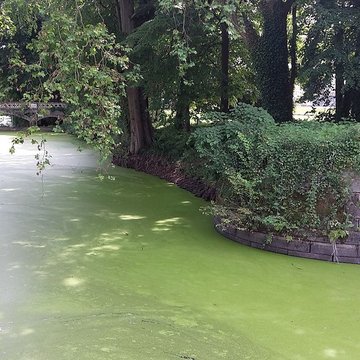 Château de Challain-la-Potherie