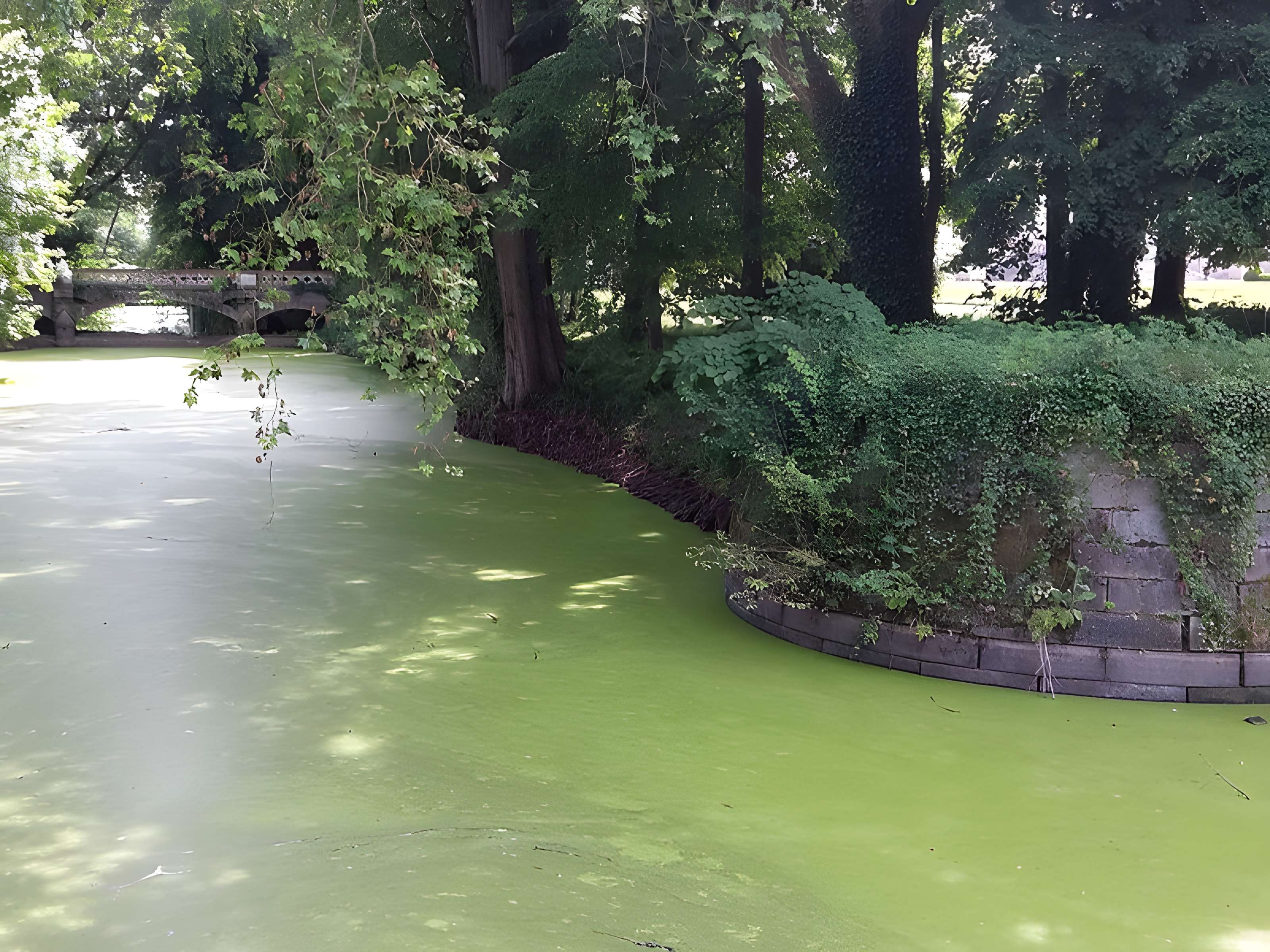 Château de Challain-la-Potherie