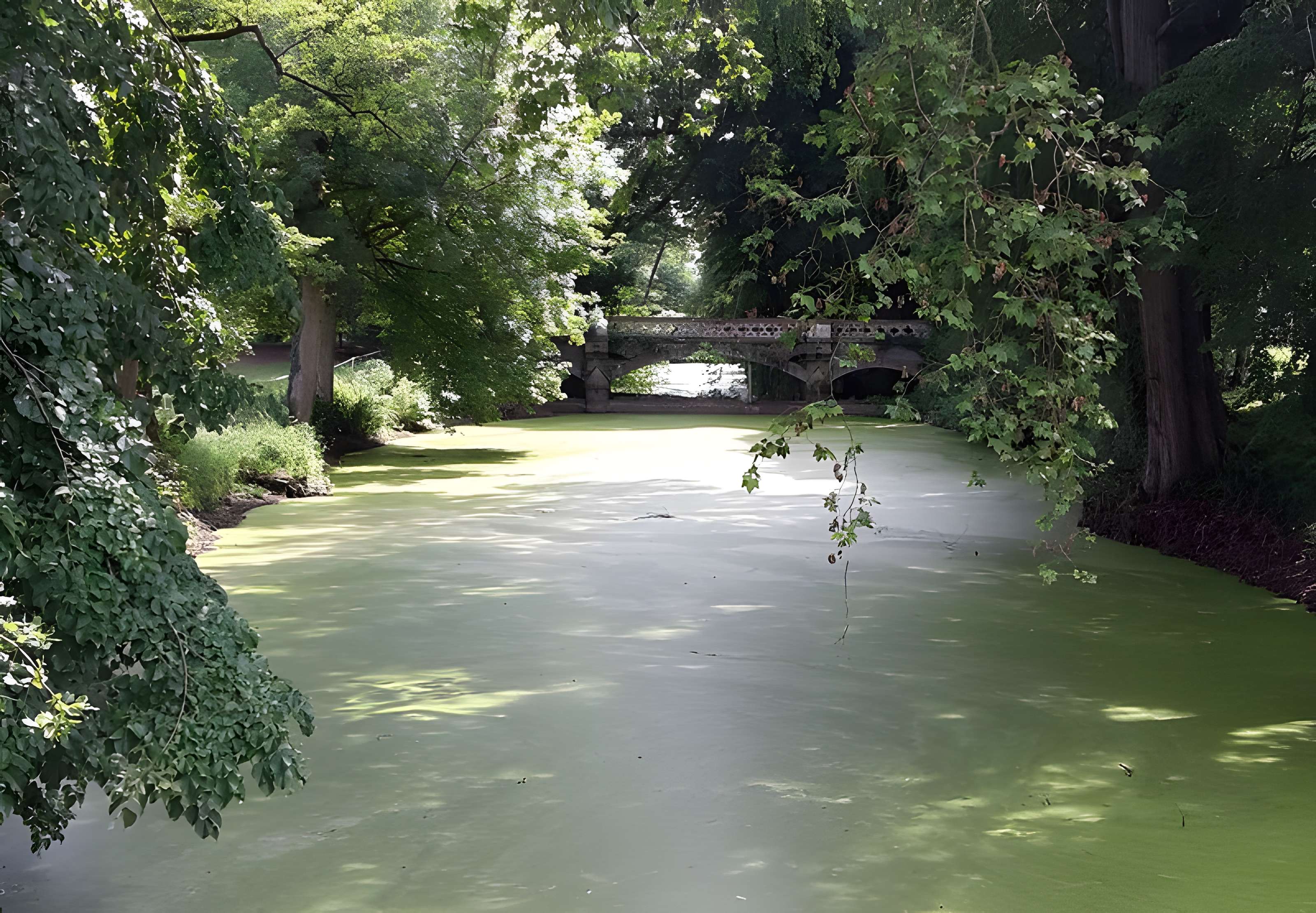 Château de Challain-la-Potherie