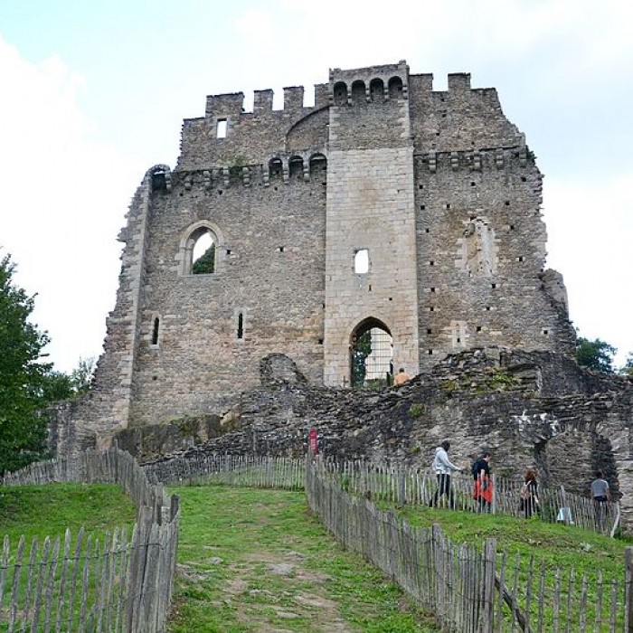 Photo de Château de Châlucet