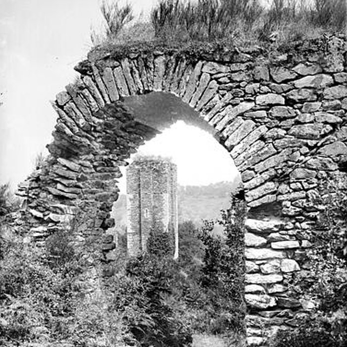 Photo de Château de Châlucet