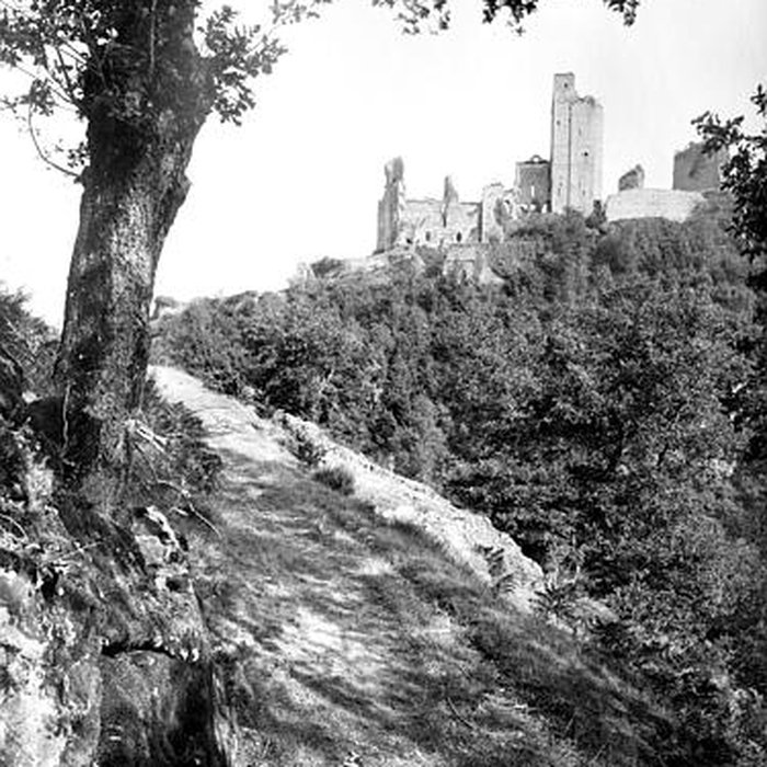 Photo de Château de Châlucet