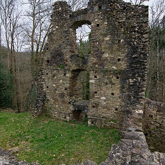 Photo de Château de Châlucet