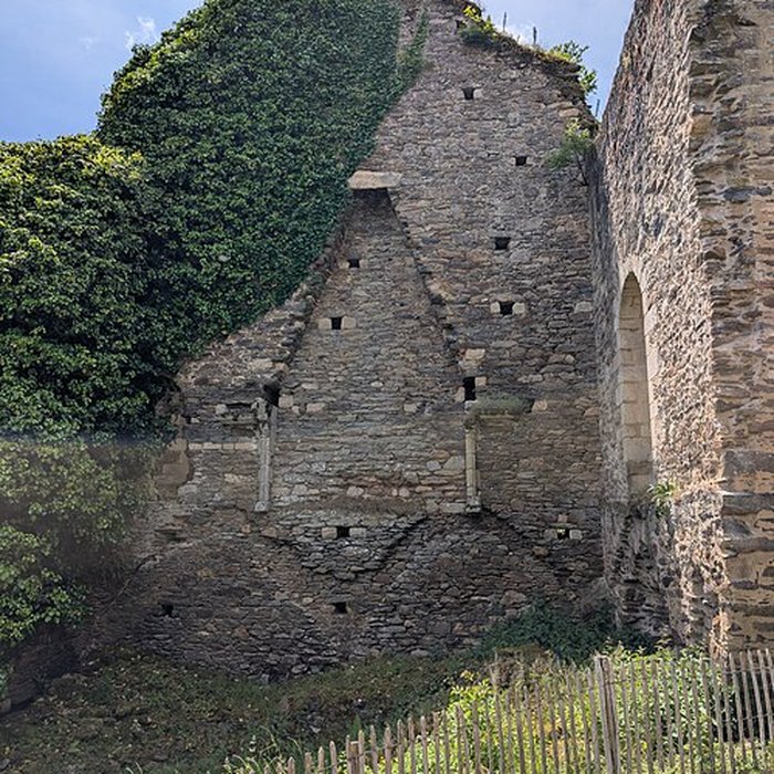 Photo de Château de Châlucet