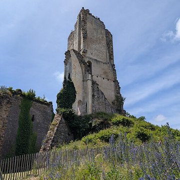 Château de Châlucet