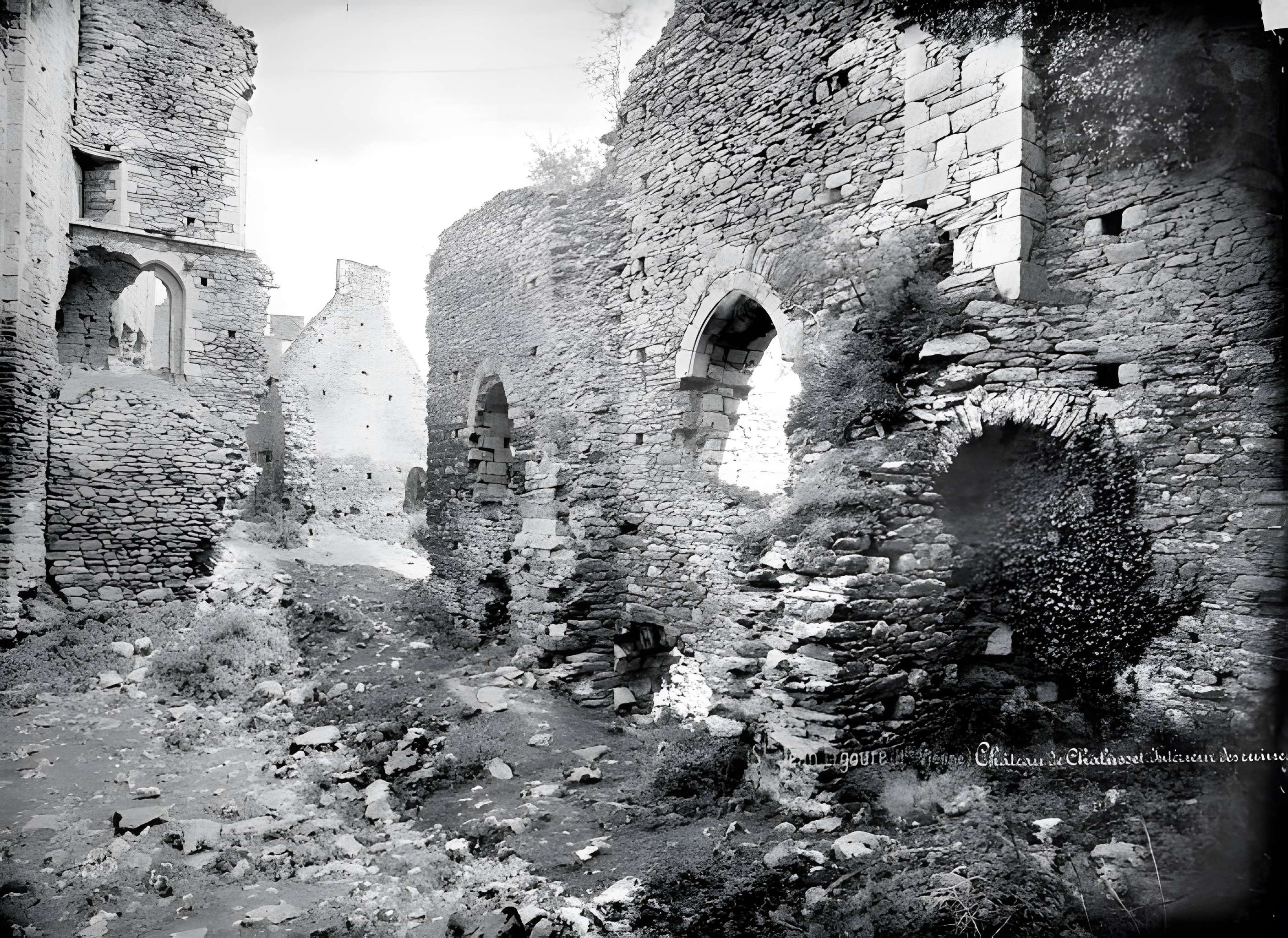 Château de Châlucet