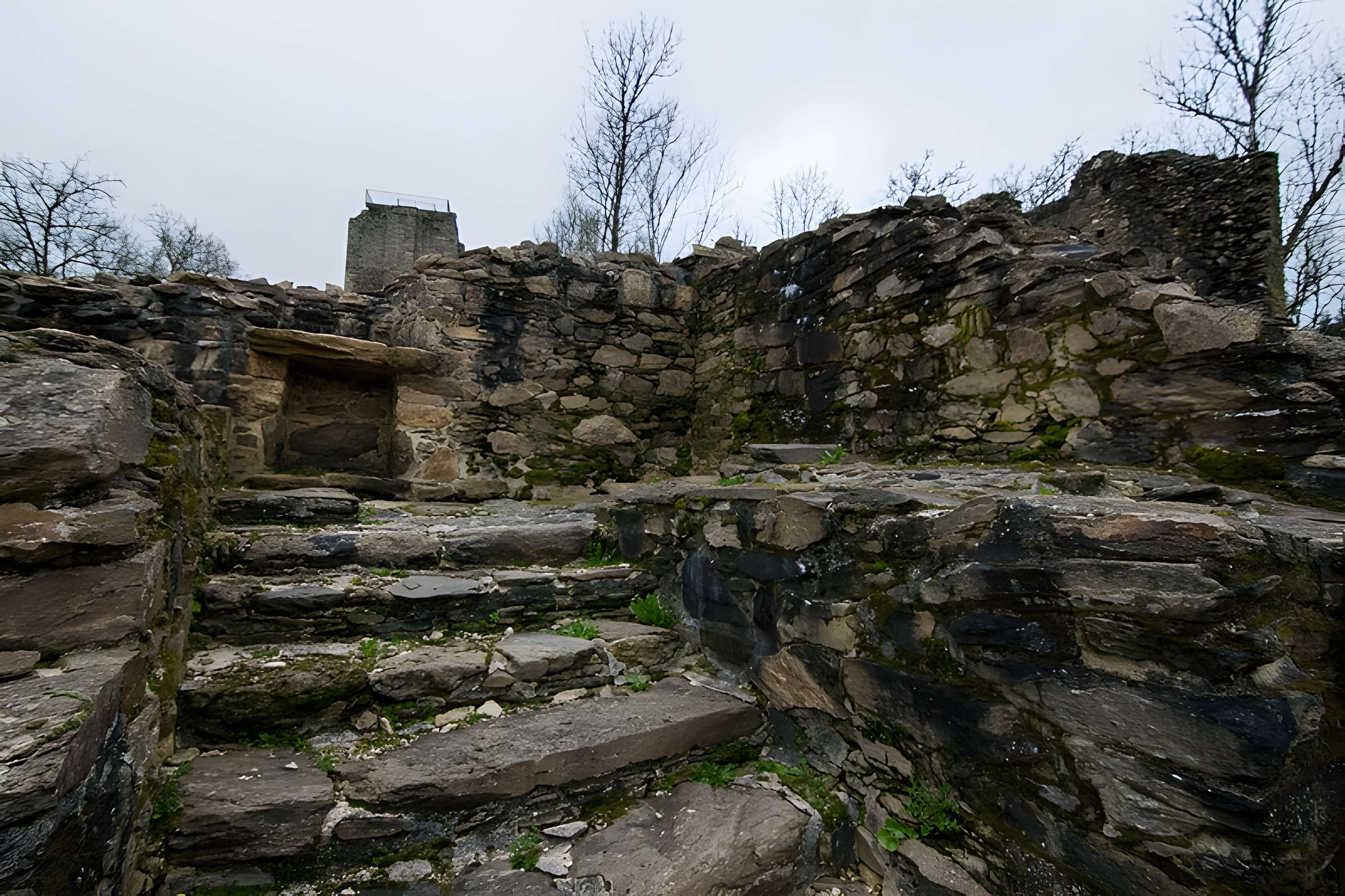 Château de Châlucet