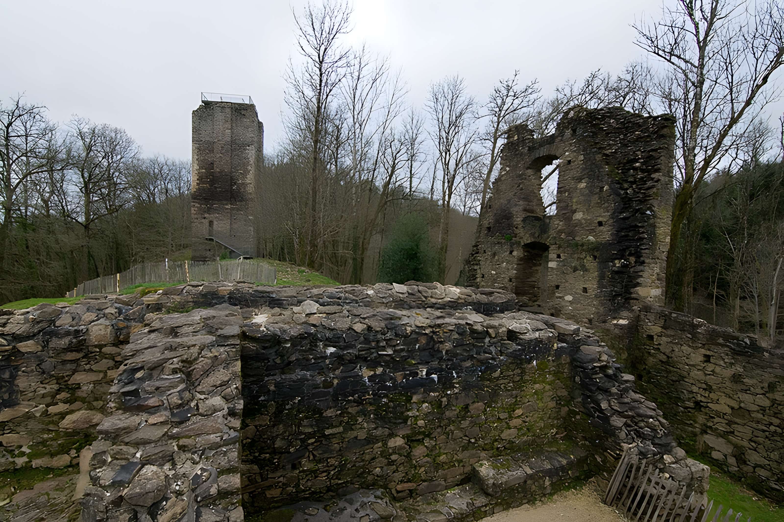Château de Châlucet