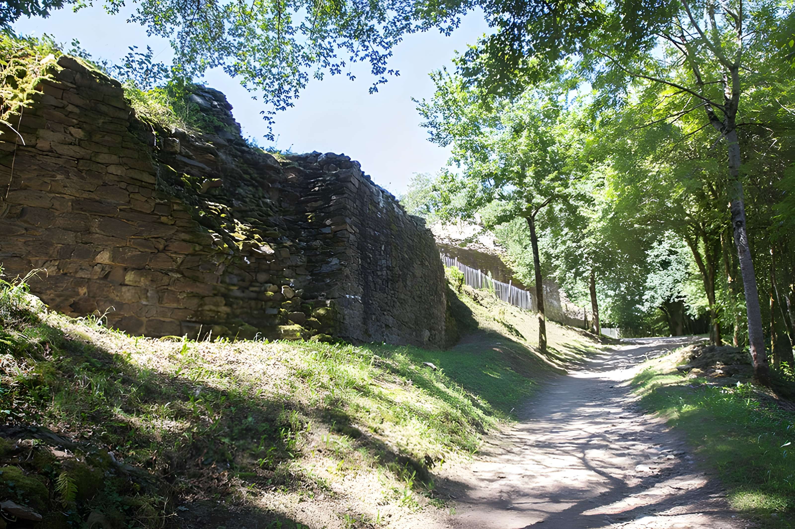 Château de Châlucet