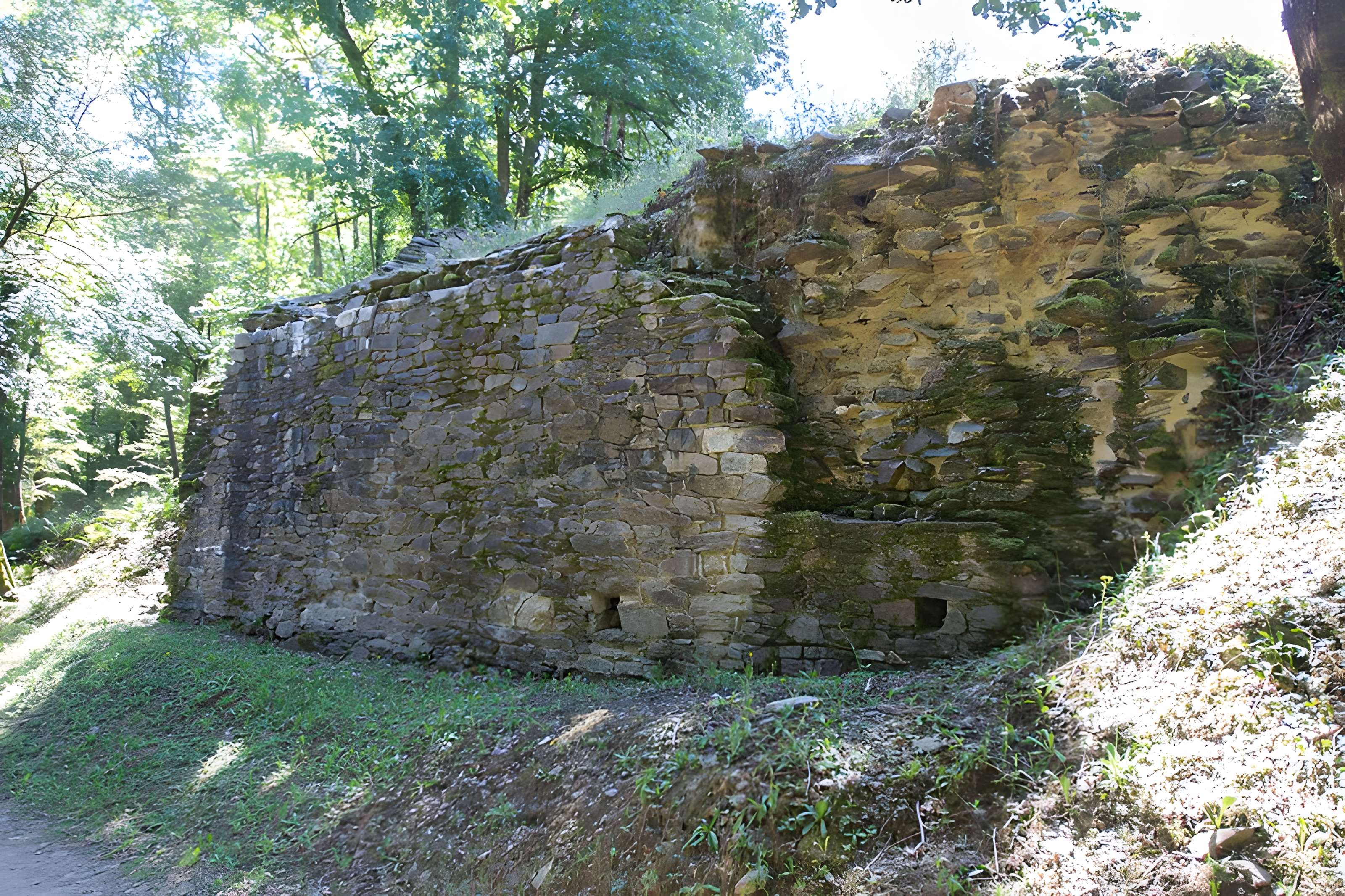 Château de Châlucet
