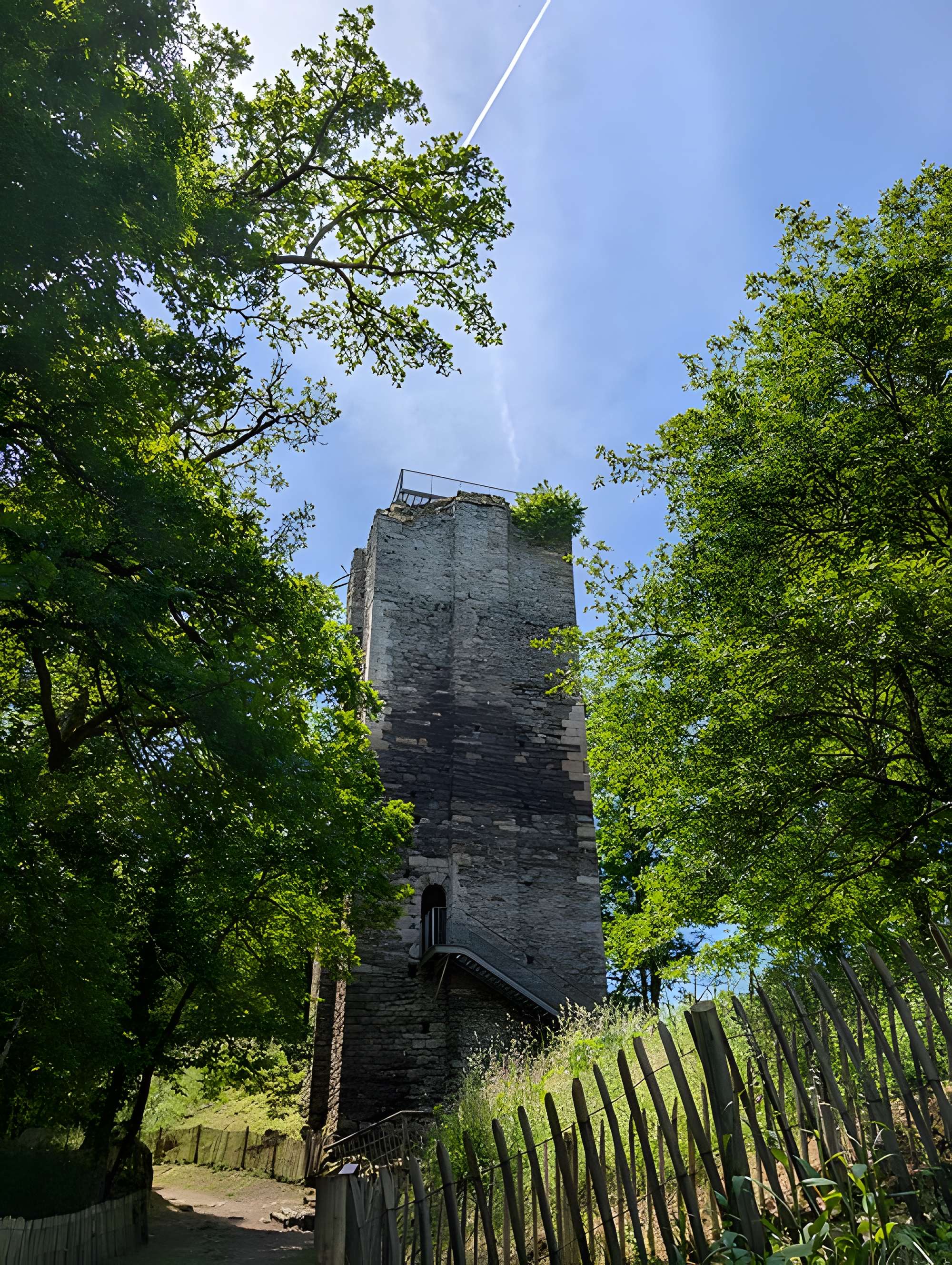 Château de Châlucet