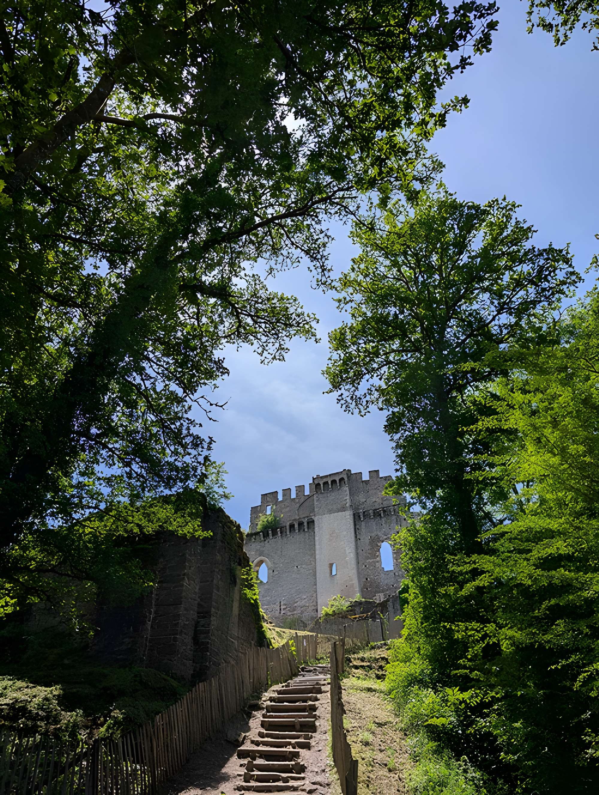 Château de Châlucet