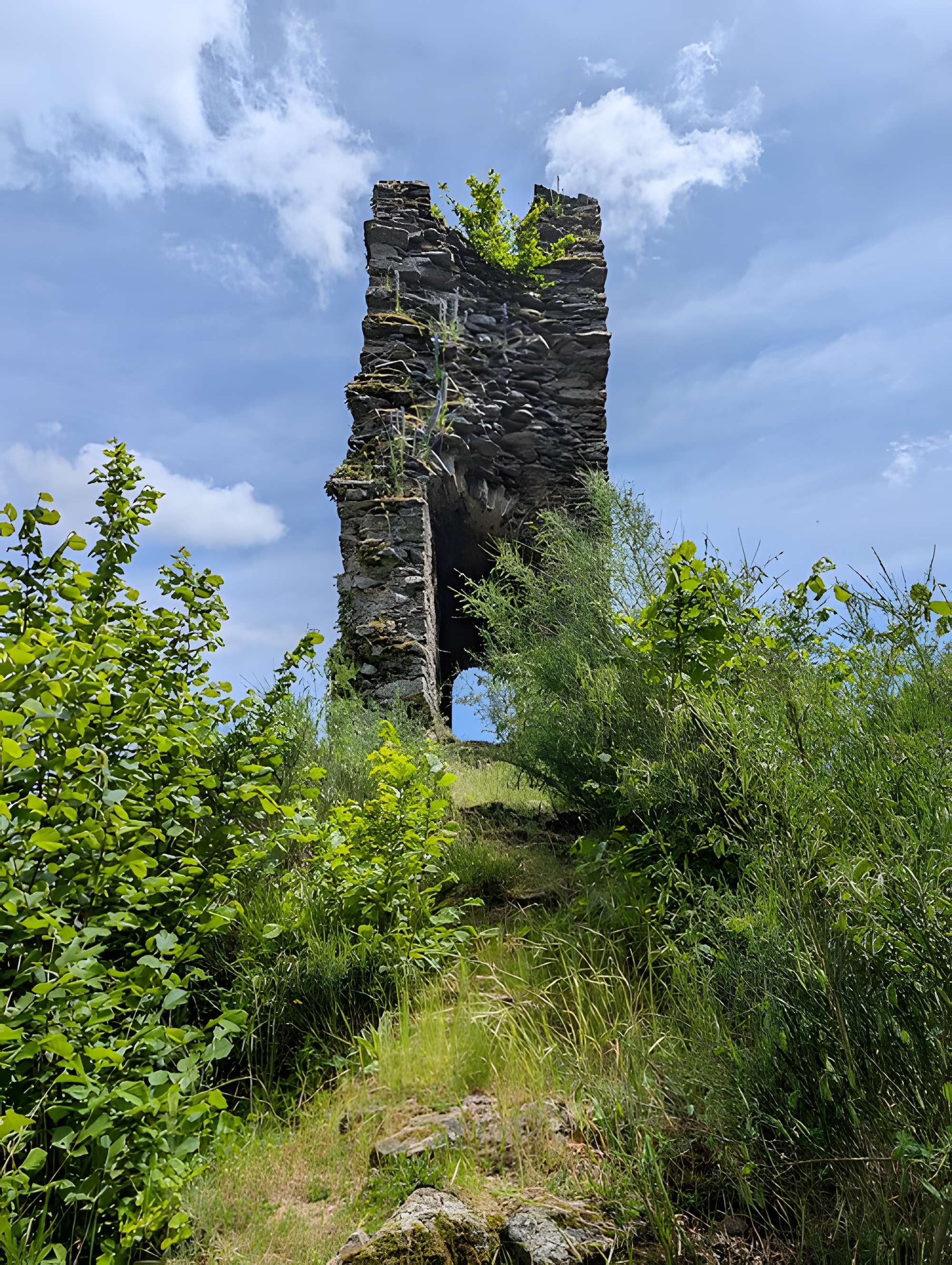 Château de Châlucet