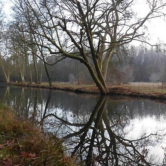Photo de Château de Chamarande