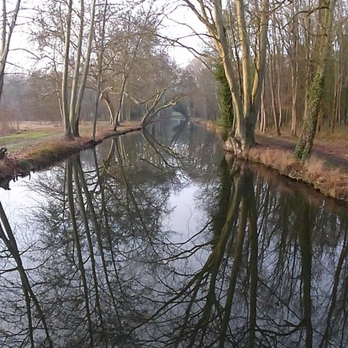 Photo de Château de Chamarande