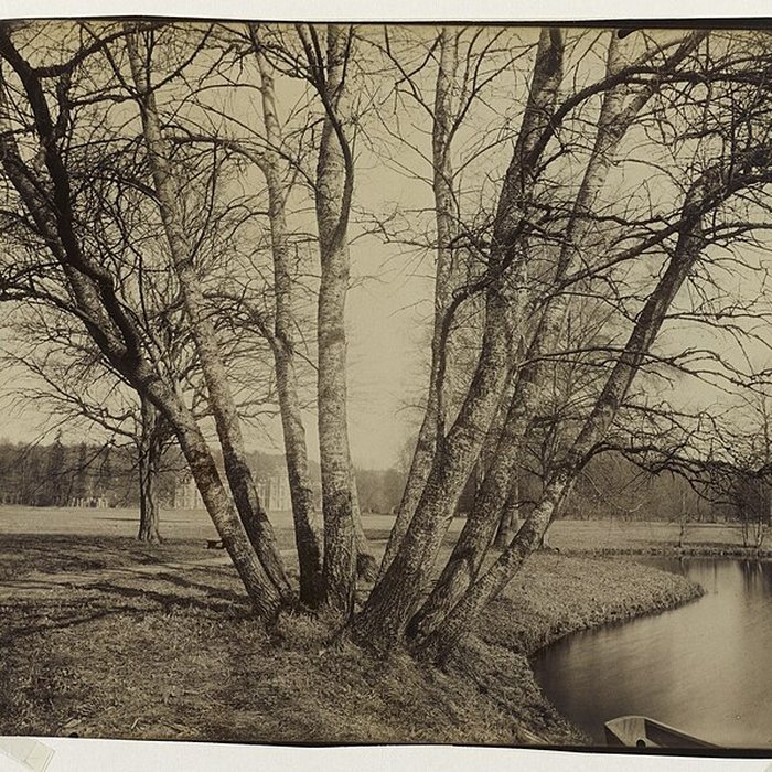 Photo de Château de Chamarande