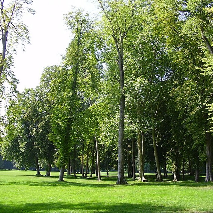 Photo de Château de Chamarande