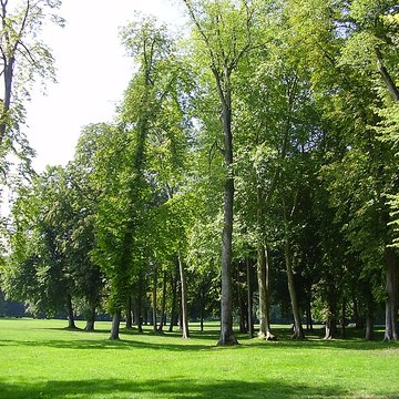 Château de Chamarande