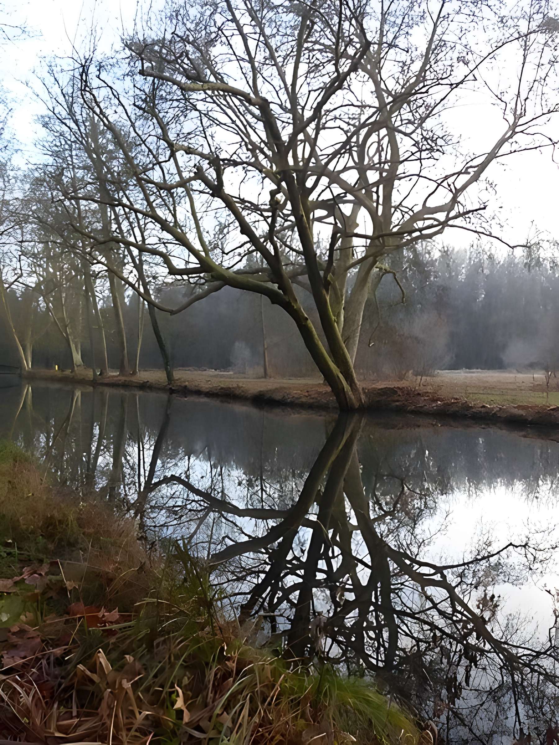 Château de Chamarande