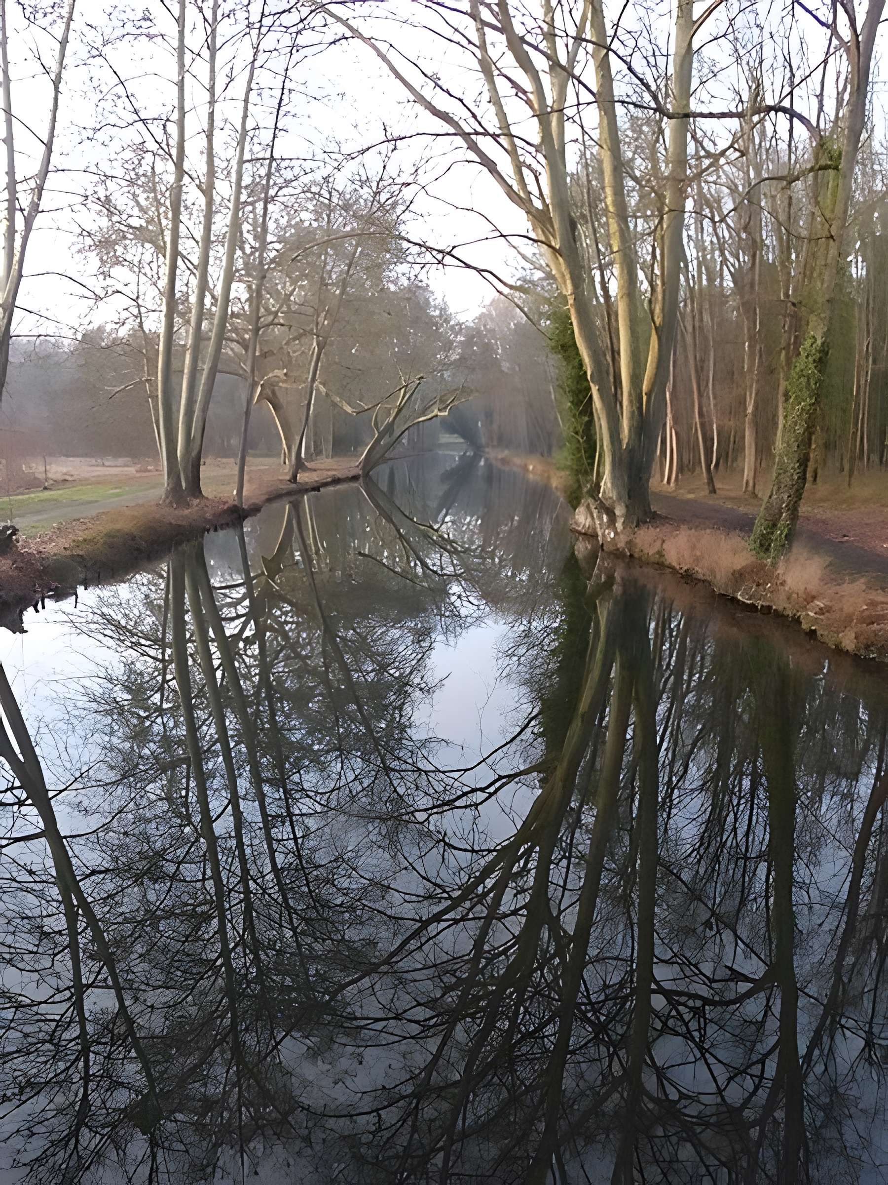 Château de Chamarande