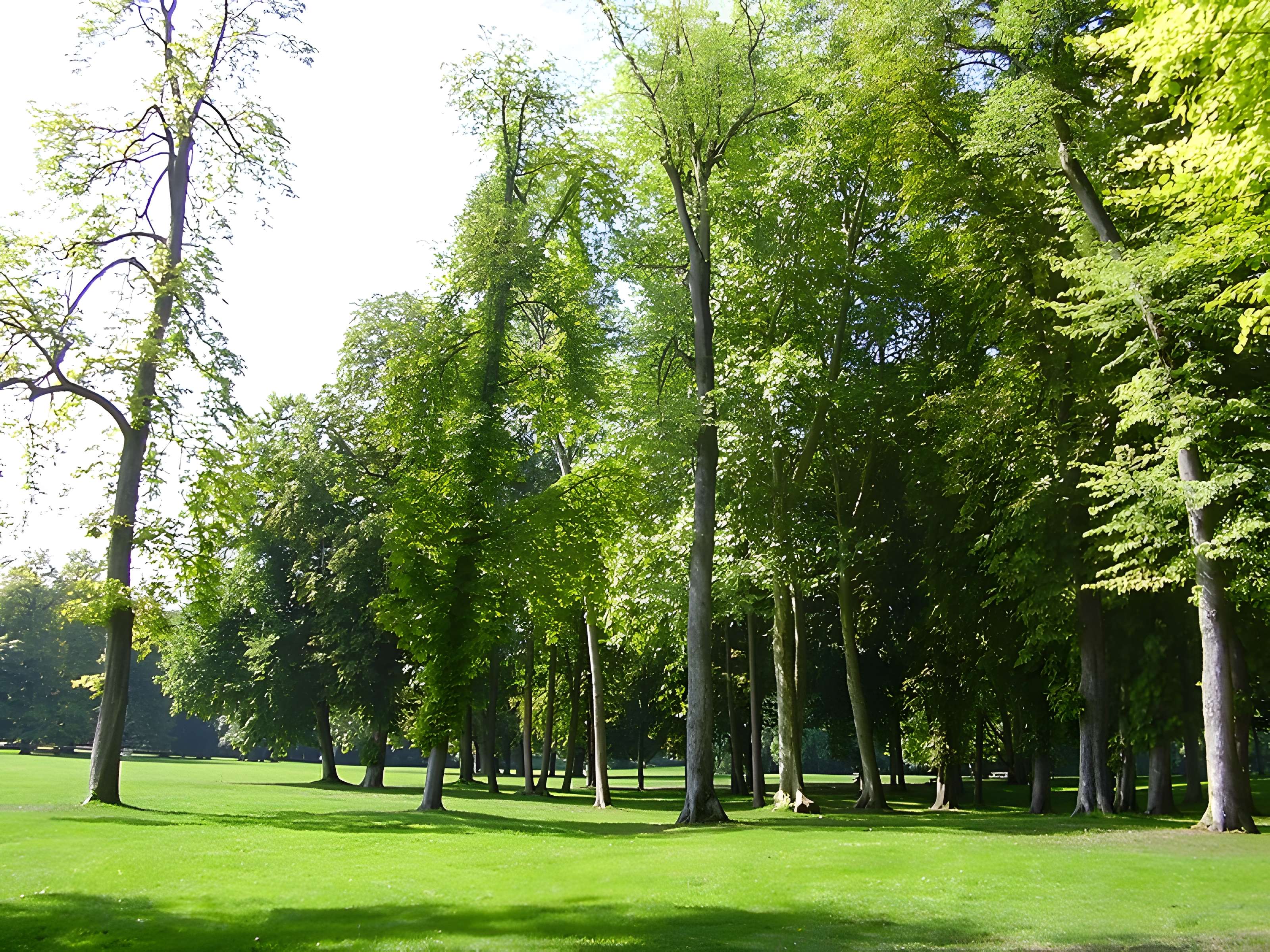 Château de Chamarande