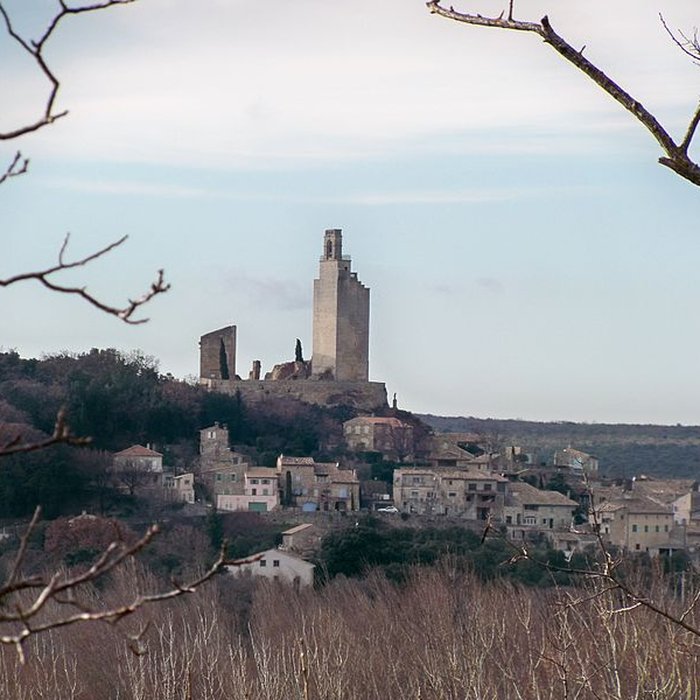 Photo de Château de Chamaret