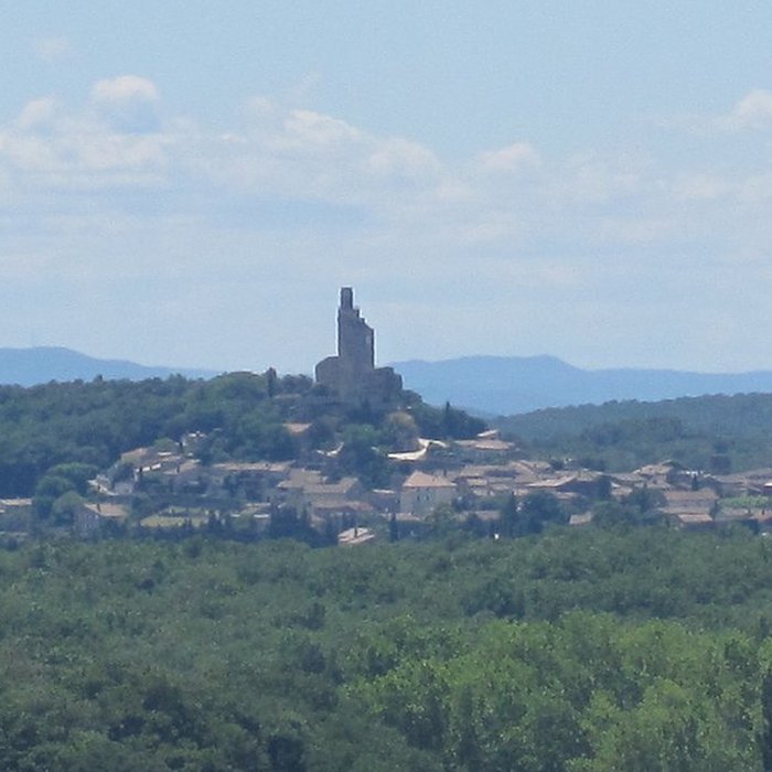 Photo de Château de Chamaret