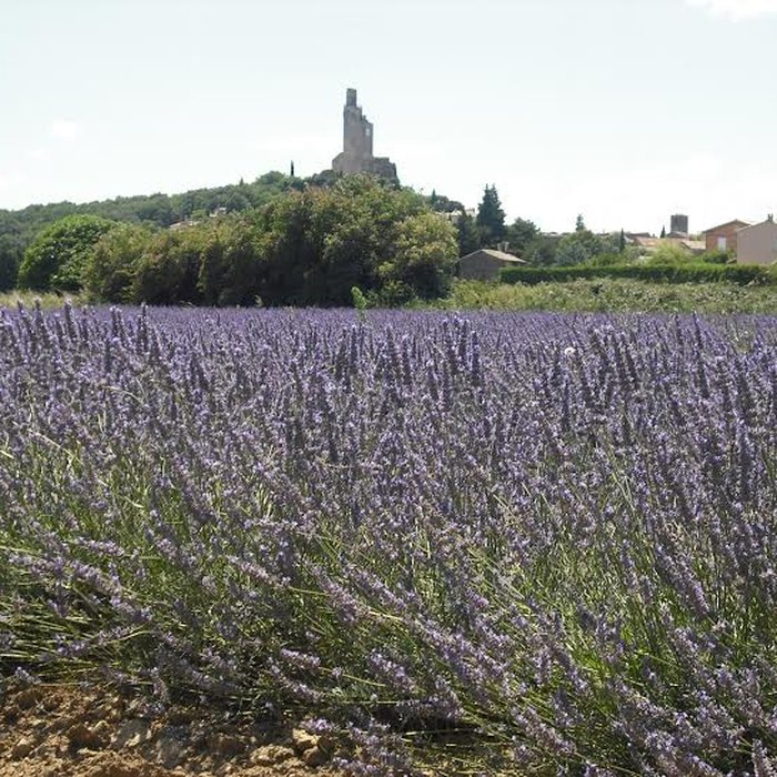 Photo de Château de Chamaret