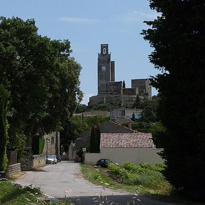Photo de Château de Chamaret