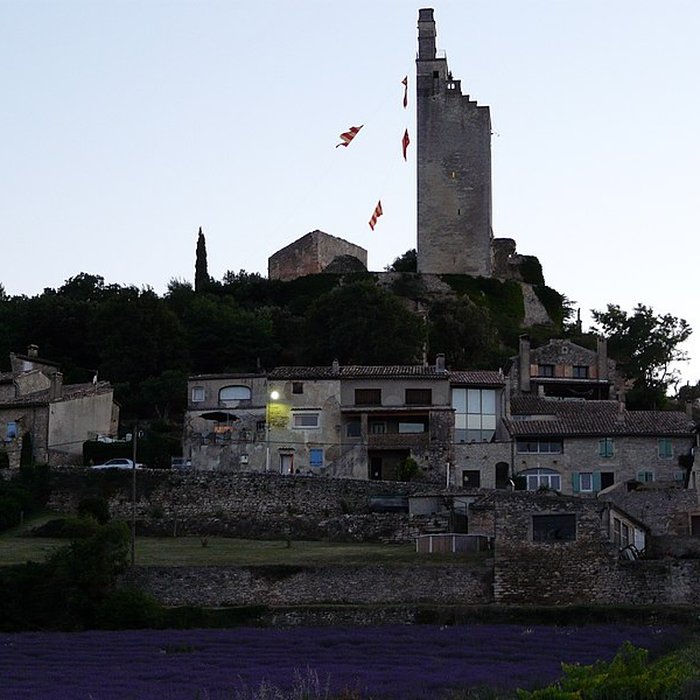 Photo de Château de Chamaret