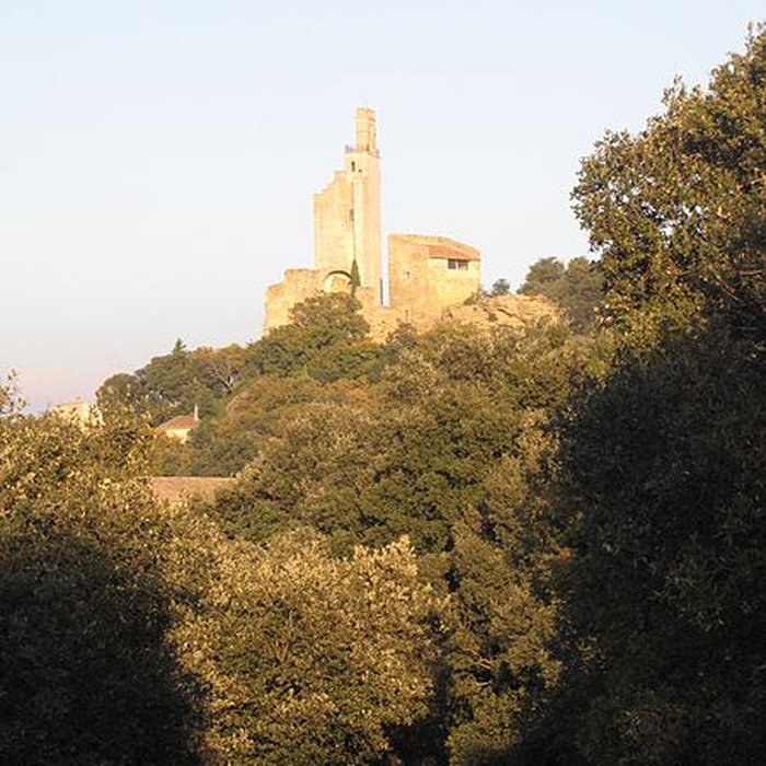 Photo de Château de Chamaret
