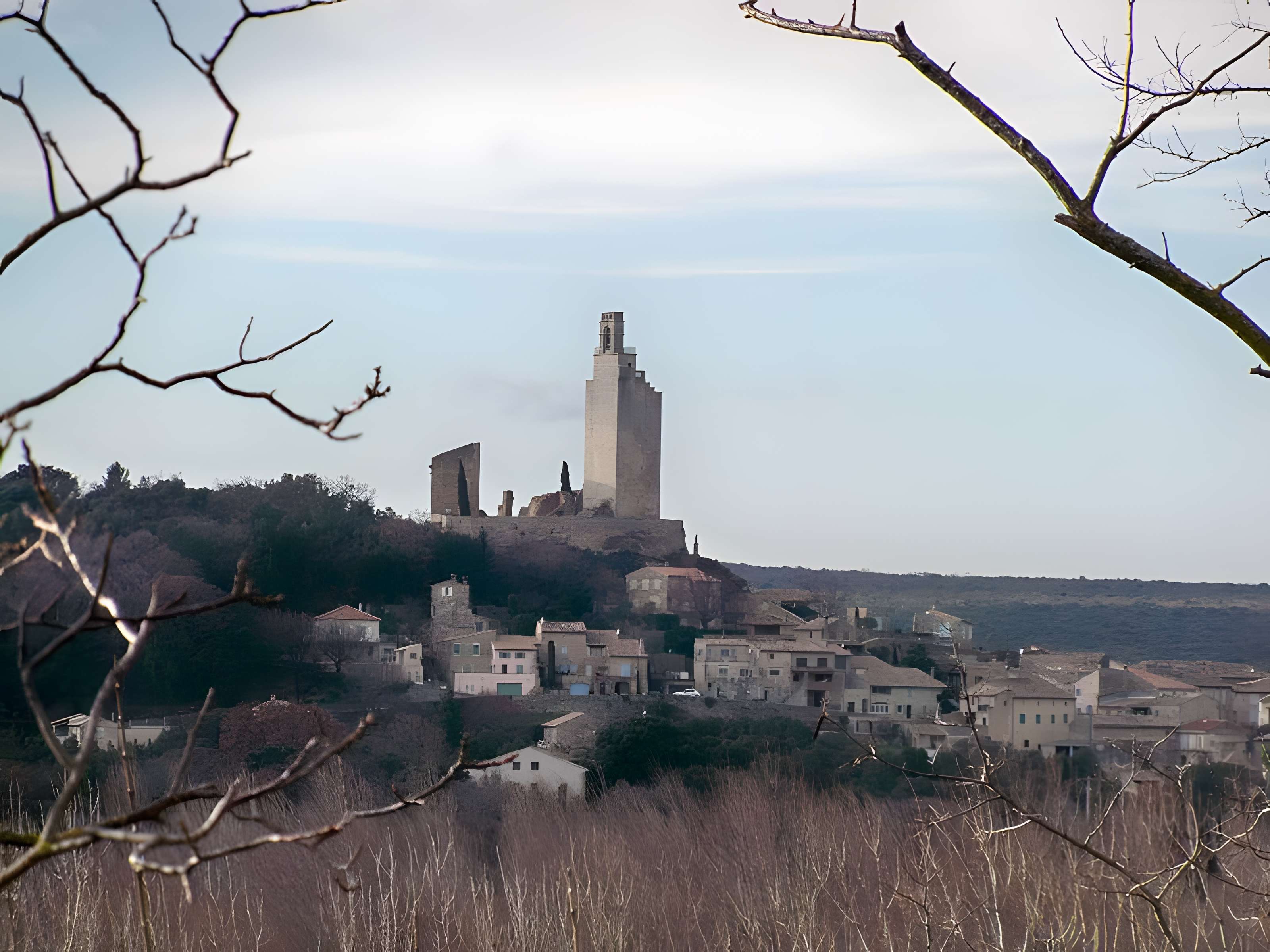 Château de Chamaret