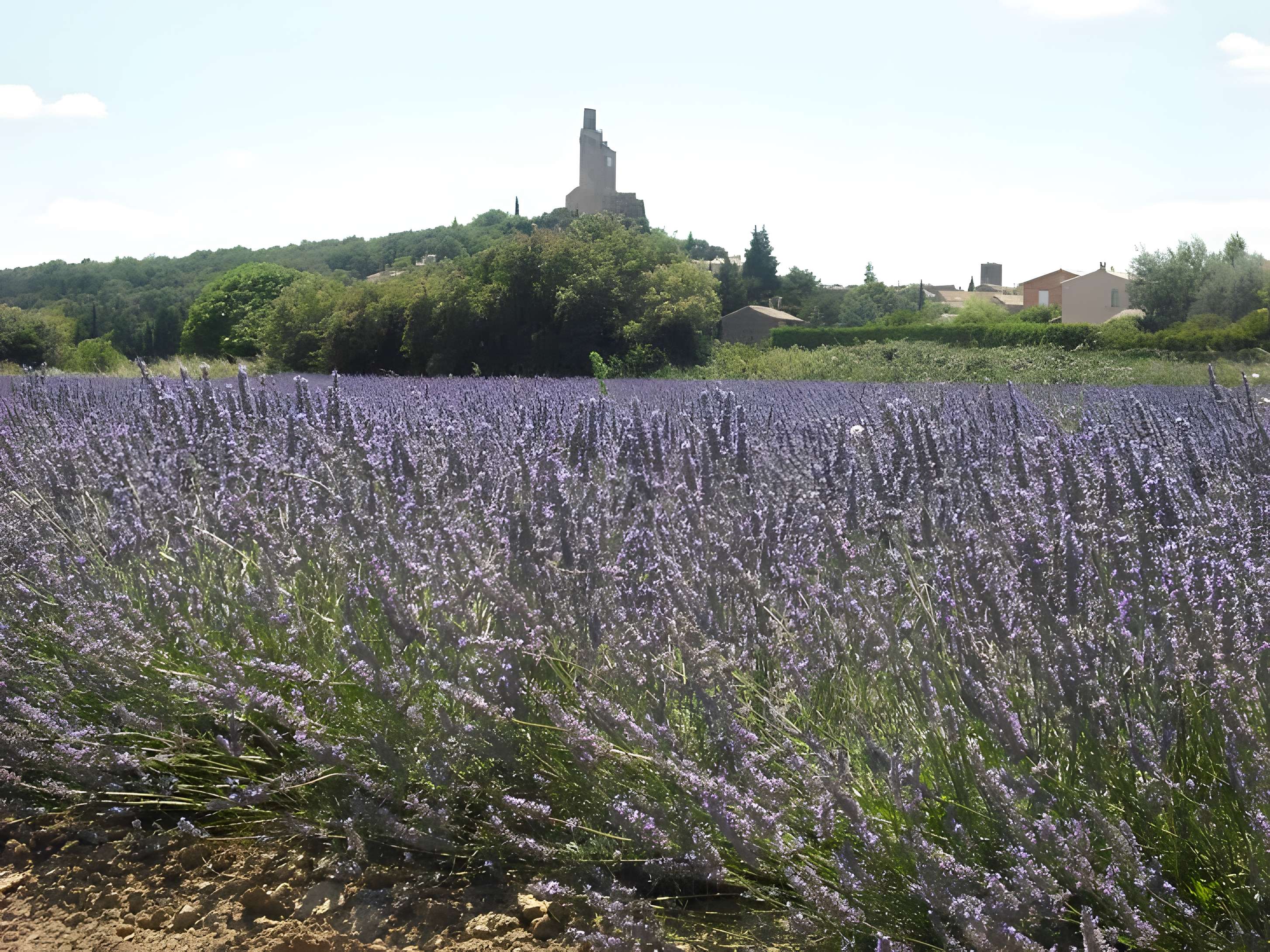 Château de Chamaret