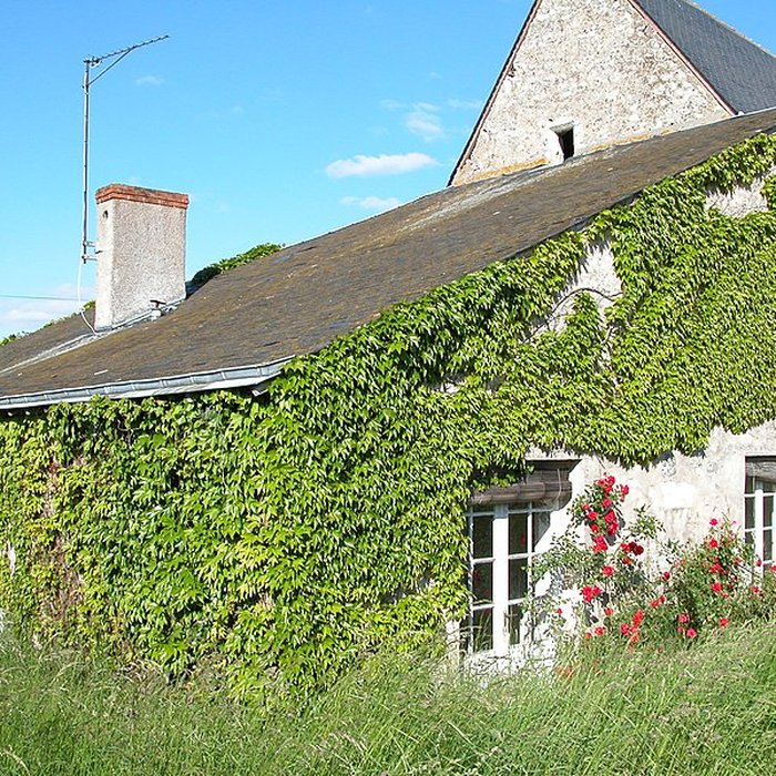 Photo de Manoir de Laleu