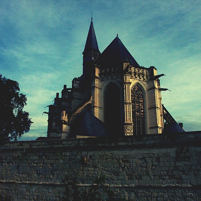 Photo de Château de Champigny-sur-Veude