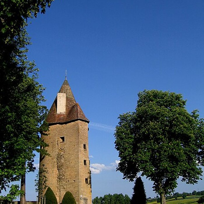 Photo de Château de Charles-Le-Téméraire