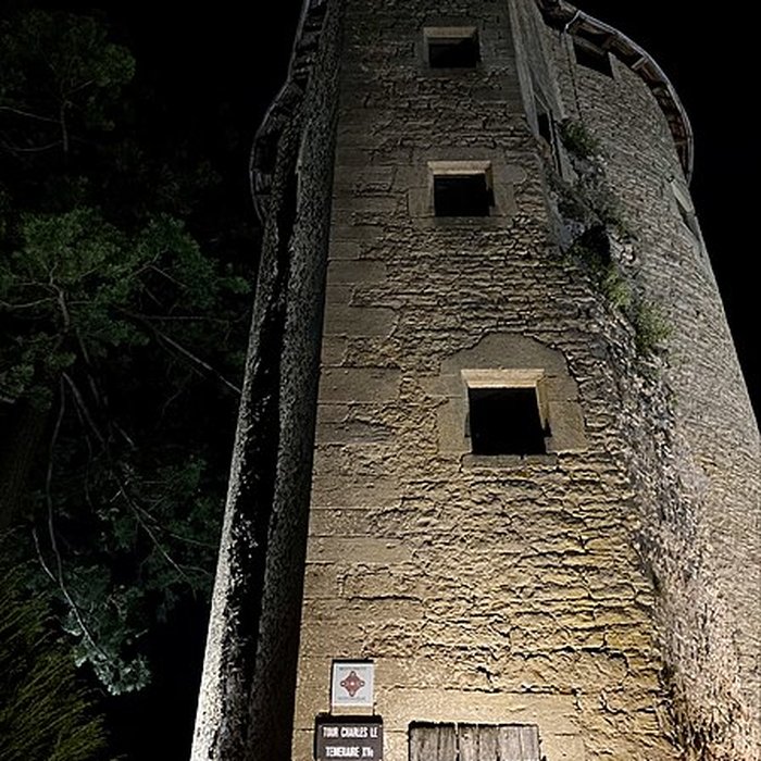 Photo de Château de Charles-Le-Téméraire