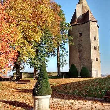 Château de Charles-Le-Téméraire