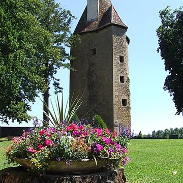 Château de Charles-Le-Téméraire