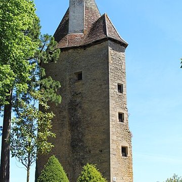 Château de Charles-Le-Téméraire