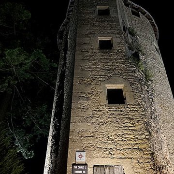 Château de Charles-Le-Téméraire