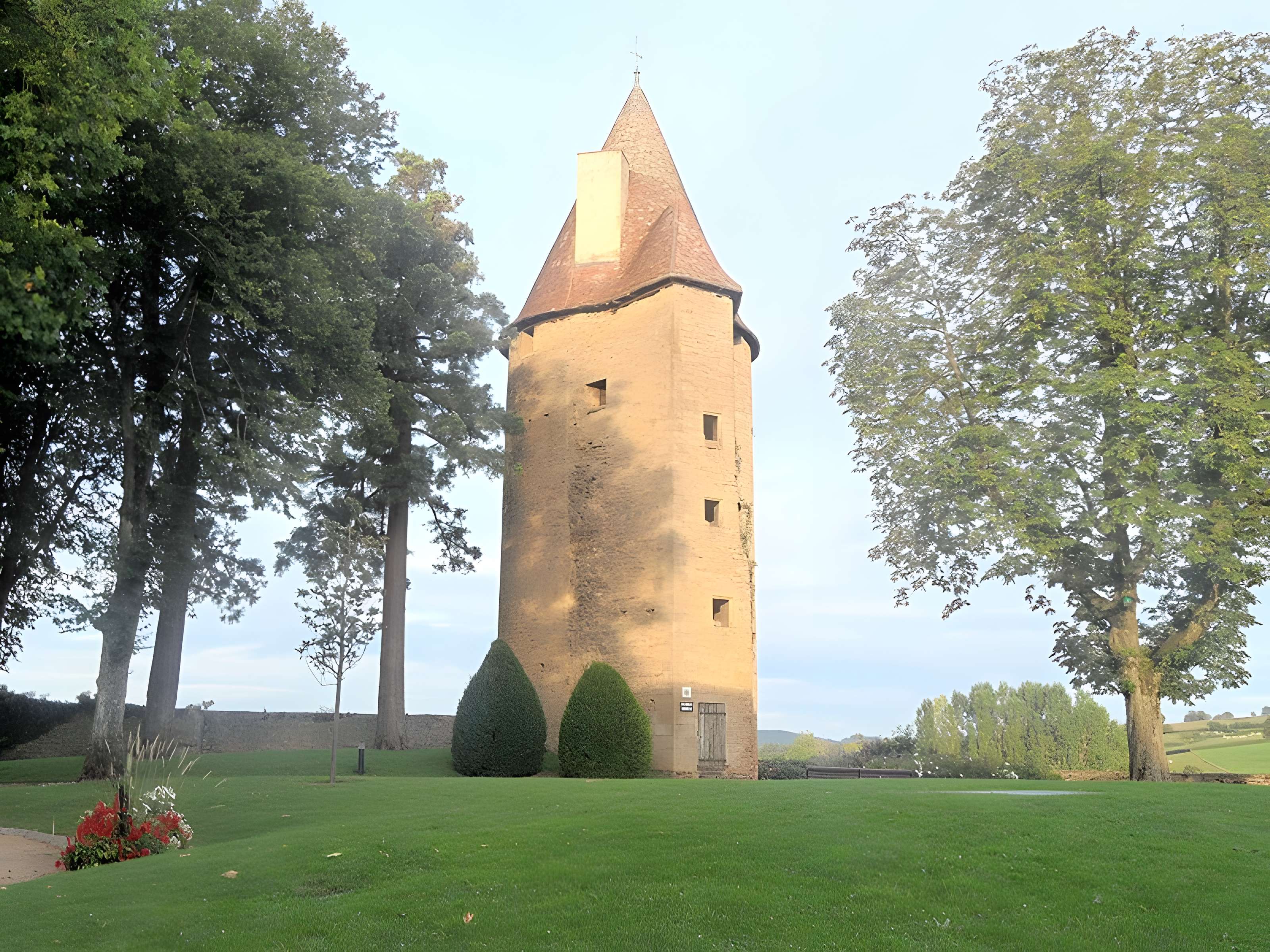 Château de Charles-Le-Téméraire