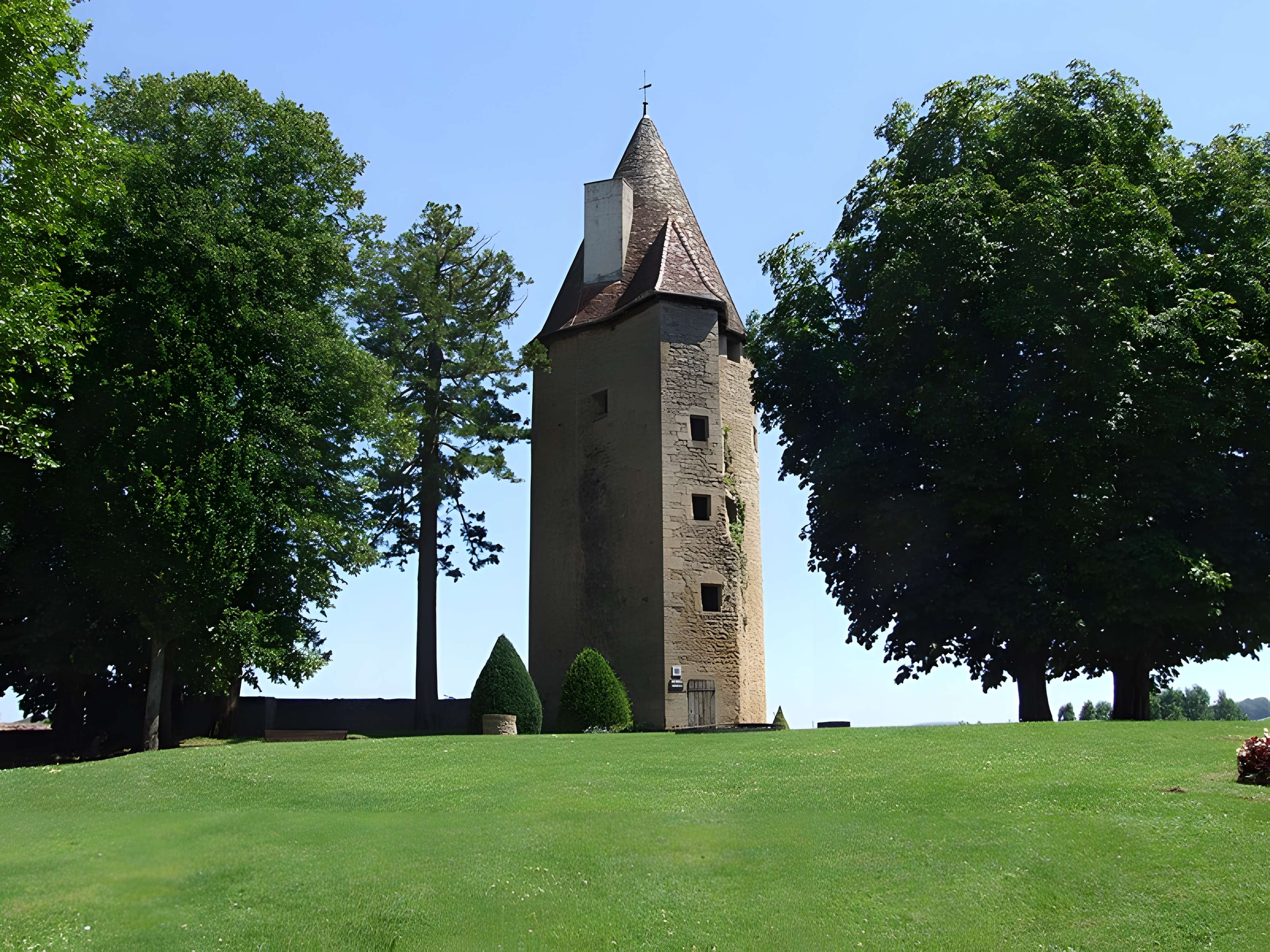 Château de Charles-Le-Téméraire
