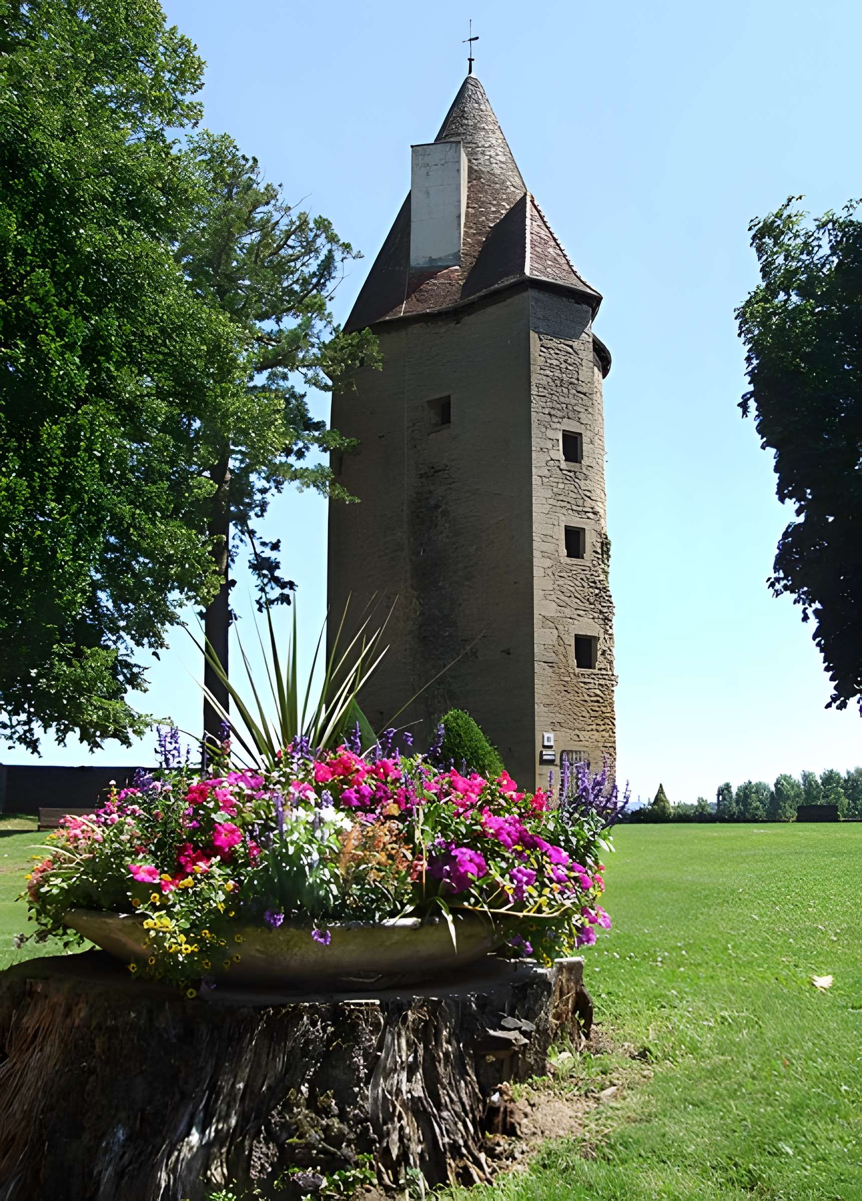 Château de Charles-Le-Téméraire